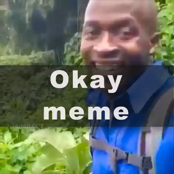 Звук из мема "okay"