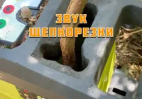 Звук измельчителя веток (щепкорезка)