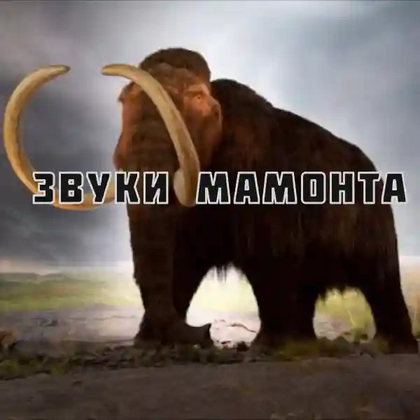 Звуки мамонта
