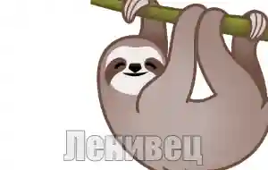 Голос ленивца