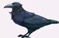 Звуки вороны